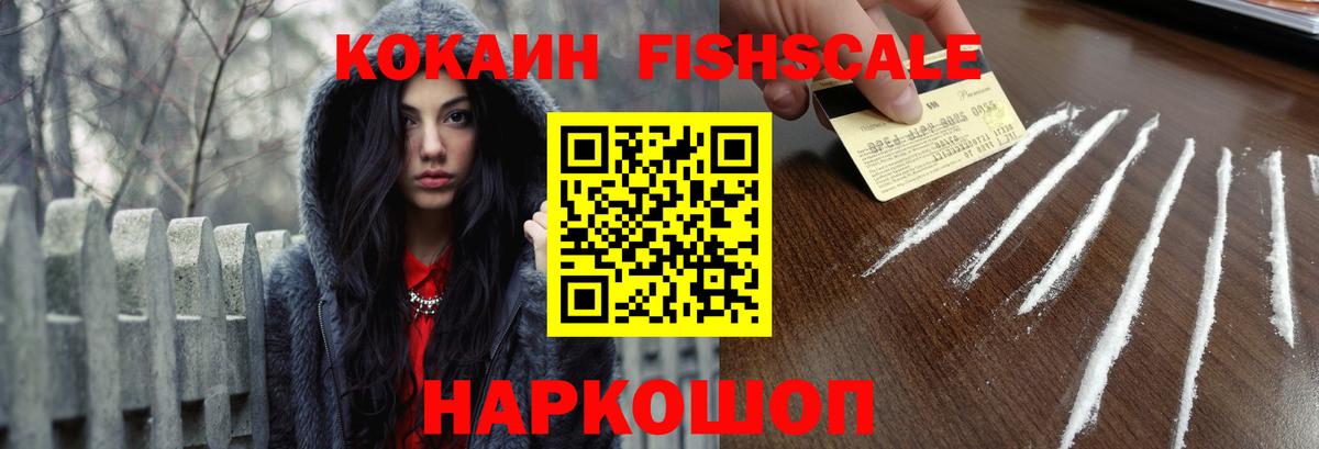 Cocaine Fish Scale  COCAIN Боливия  Биробиджан  Вход с VPN 