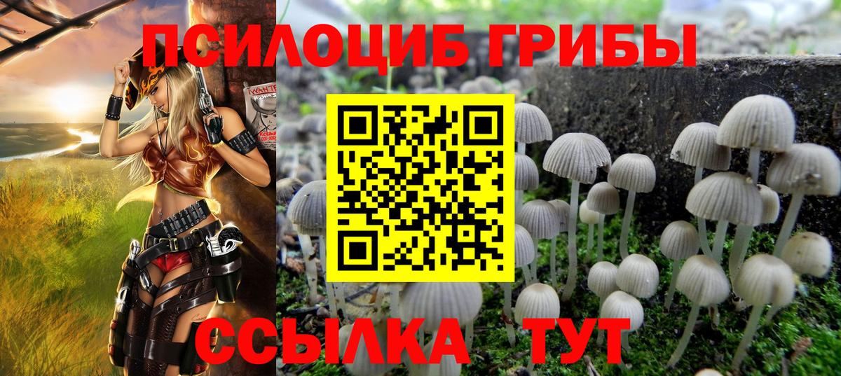 Галлюциногенные грибы мицелий  Вход с VPN  Псилоцибиновые грибы Magic Shrooms  Биробиджан 
