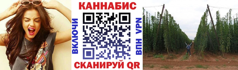 Канабис гибрид  Биробиджан 